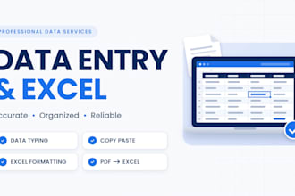 do accurate data entry and excel data formatting