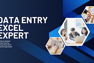 do professional data entry and exel data typing