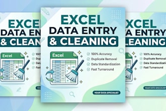 do excel data entry, data cleaning, deduplication, and formatting
