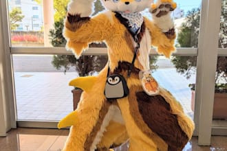 make custom fursuit furry costume, fursuit head, paws and tail for your fursona