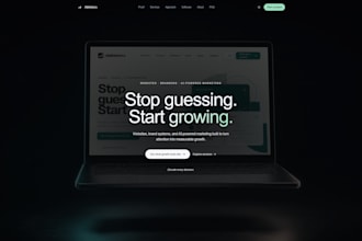 make a website, logo, or rebrand for you