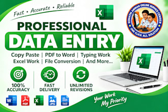professional data entry and excel expert