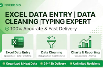 do excel data entry, data cleaning, typing and formula work