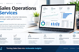 provide sales operations, analytics, reporting and business insights
