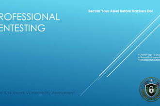 perform a professional penetration test and vulnerability assessment