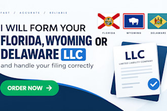 form your florida, wyoming or delaware llc and handle your filing correctly