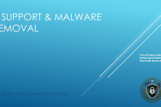 provide remote IT support, remove malware and secure your os