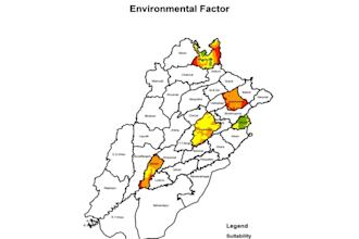 conduct environmental impact assessment and compliance reporting