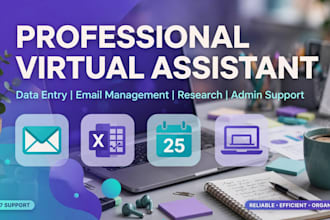 be your professional virtual assistant for data entry and email management