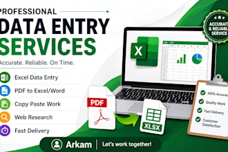 data entry, excel data entry