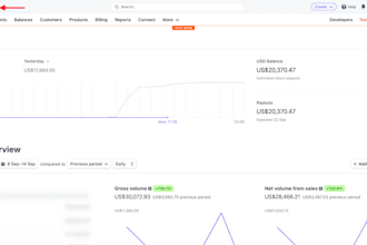 fix stripe kyc, resolve stripe payout pause and checkout issue