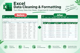 professionally clean organize and format your data
