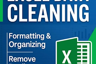 do professional excel data cleaning, formatting, and deduplication