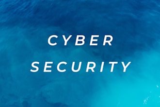 run a network security scan and give you a vulnerability report