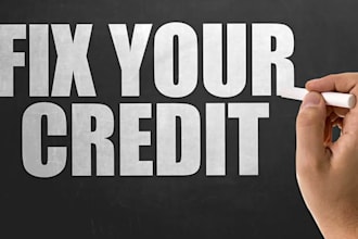 review your credit report and prepare professional dispute letters