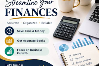 do professional bookkeeping and accounting in tally