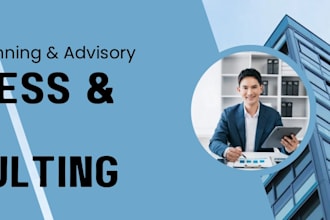 provide professional business consulting risk assessment