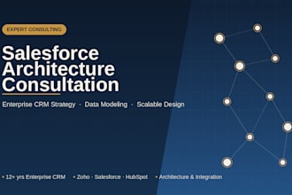 provide expert salesforce architecture consultant
