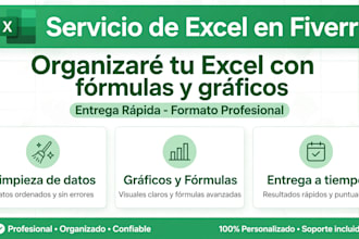 do data entry and organize your excel with formulas and charts