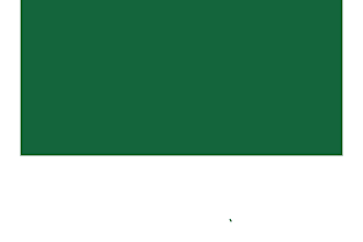 clean and validate your sql or excel database