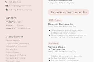 create a  professional CV resume design in canva