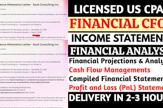 prepare virtual cfo financial report, financial forecast, cash flow analysis