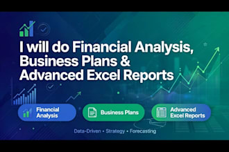 do financial analysis,business plans and advanced excel reports