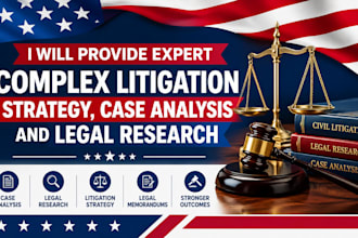 provide expert complex litigation strategy case analysis and legal research