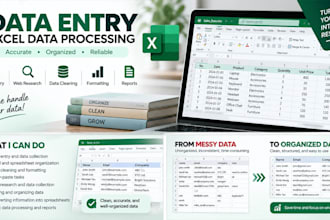 do accurate data entry and excel data processing