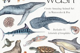 paint scientific watercolor illustrations of ocean animals