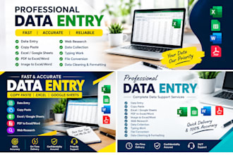 professional data entry, copy paste, web research and excel