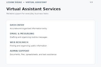 provide virtual assistant services