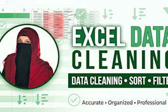 excel data entry, formatting, sorting and data cleaning