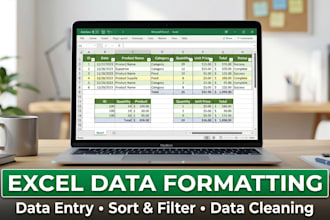 excel data entry, formatting, sorting and data cleaning