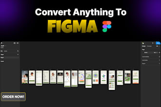 convert pdf, jpg, png, canva or image to editable figma design