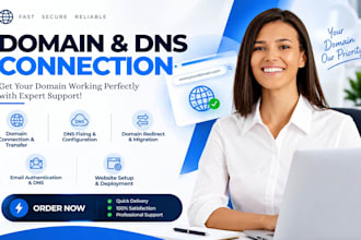 domain connection, fix domain transfer, connect domain to goddady