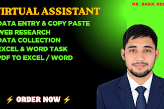 be your virtual assistant for data entry, data mining, copy paste, web re