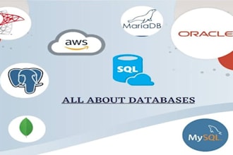 solve sql database problems and optimize queries