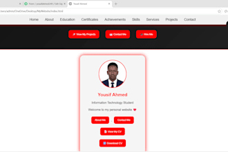 create a professional personal portfolio website