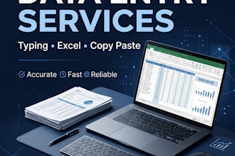 do accurate data entry, typing and microsoft excel work