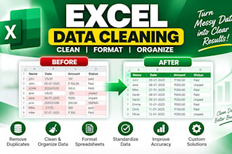 clean, format and organize excel spreadsheets and data