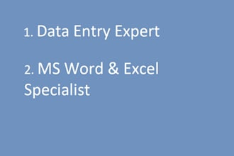 be your expert for ms word formatting and excel data entry