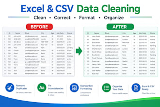 clean and format your excel or CSV data