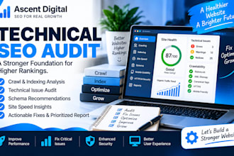 do a technical SEO audit with crawl, indexing and schema recommendations