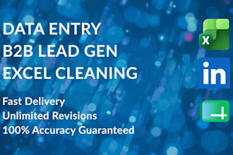 do data entry, excel data cleaning, and b2b lead generation