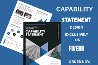 create a professional business or government capability statement
