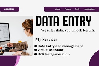 do professional data entry, and copy paste work