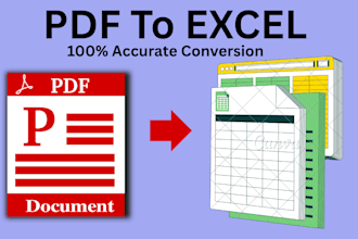 convert your PDF to excel with 100 percent  accuracy