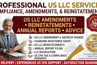 do US llc or corp reinstatement, amendment, dissolution