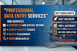 do professional data entry in ms excel